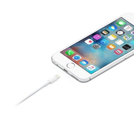 Apple Cable Lightning a USB-A 1m Blanco MXLY2ZM/A